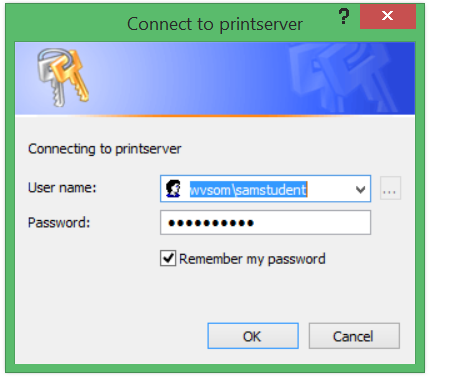 Network\printserver\temp\mapprinter